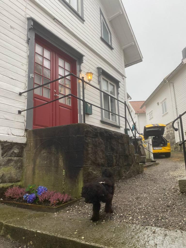 200 M Til Alt To Everything Egersund Esterno foto